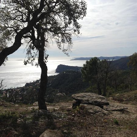 Chemin De La Roseraie Cavalaire-sur-Mer Esterno foto