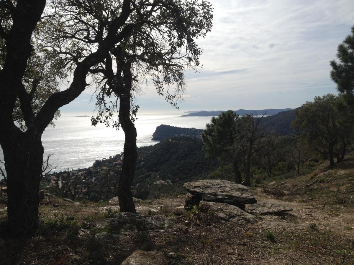 Chemin De La Roseraie Cavalaire-sur-Mer Esterno foto